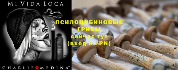 гидропоника Арсеньев