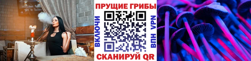 Галлюциногенные грибы Psilocybe  Черняховск 